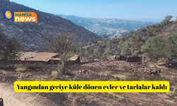 Yangından geriye küle dönen evler ve tarlalar kaldı