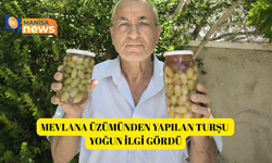 Mevlana üzümünden yapılan turşu yoğun ilgi gördü