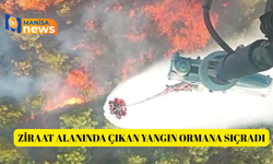 Ziraat alanında çıkan yangın ormana sıçradı