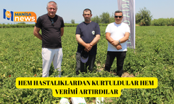 Hem hastalıklardan kurtuldular hem verimi artırdılar