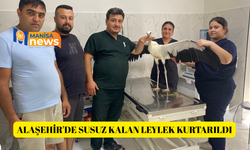Alaşehir'de susuz kalan leylek kurtarıldı