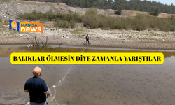 Balıklar ölmesin diye zamanla yarıştılar