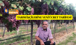 Tarım işçilerine yeni ücret tarifesi
