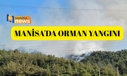 Manisa'da orman yangını