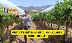 Örtücülerin kavurucu sıcaklarla zorlu mesaisi