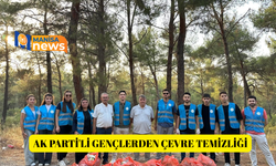 AK Parti'li gençlerden çevre temizliği