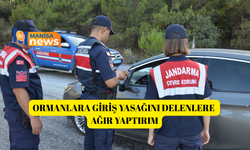 Ormanlara giriş yasağını delenlere ağır yaptırım