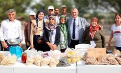 Yuntdağı Yöresel Ürünler Pazarı bu yıl da kuruluyor
