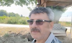 Sarıgöl'ün ağaçkondusu ilgi çekmeye devam ediyor
