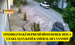 Sındırgı’daki depremi hissederek hızla uzaklaşan kedi kameralara yansıdı