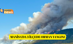 Manisa'da 3 ilçede orman yangını