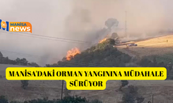 Manisa'daki orman yangınına müdahale sürüyor