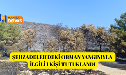 Şehzadeler'deki orman yangınıyla ilgili 1 kişi tutuklandı