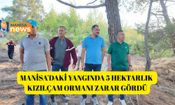 Manisa'daki yangında 5 hektarlık kızılçam ormanı zarar gördü