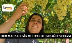 Hem mahallenin muhtarı hem bağın sultanı