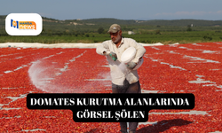 Domates kurutma alanlarında görsel şölen