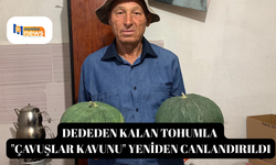 Dededen kalan tohumla "Çavuşlar Kavunu" yeniden canlandırıldı