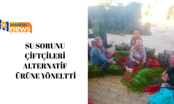 Su sorunu çiftçileri alternatif ürüne yöneltti
