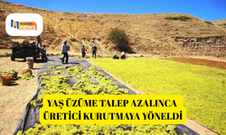 Yaş üzüme talep azalınca üretici kurutmaya yöneldi