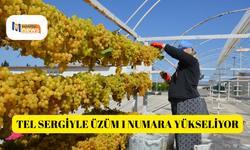 Tel sergiyle üzüm 1 numara yükseliyor