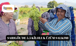 Sarıgöl’de 5,5 kiloluk üzüm salkımı
