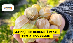 Altın Çilek bereketi pazar tezgahına yansıdı