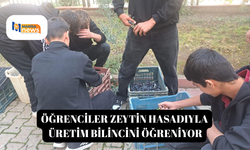 Öğrenciler zeytin hasadıyla üretim bilincini öğreniyor