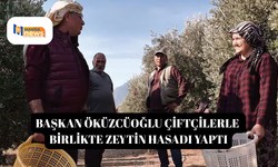 Başkan Öküzcüoğlu çiftçilerle birlikte zeytin hasadı yaptı