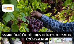 Sarıgöllü üreticiden 1 kilo 740 gramlık üzüm salkımı