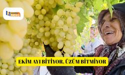 Ekim ayı bitiyor, üzüm bitmiyor
