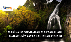 Manisa'da sonbahar manzaraları Karadeniz yaylalarını aratmadı