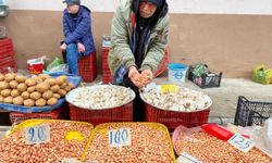 Soğan üreticilerine ‘Dikim zamanı’ uyarısı