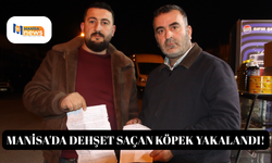 Manisa'da dehşet saçan köpek yakalandı!