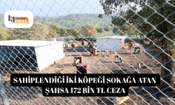 Sahiplendiği iki köpeği sokağa atan şahsa 172 bin TL ceza