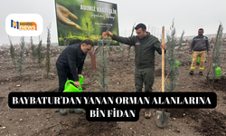 Baybatur'dan yanan orman alanlarına bin fidan