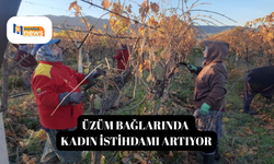Üzüm bağlarında kadın istihdamı artıyor