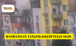 Manisa’da ev yangını: 6 kedi telef oldu