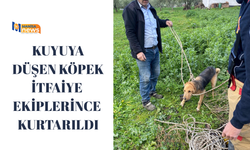 Kuyuya düşen köpek itfaiye ekiplerince kurtarıldı