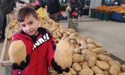 Sarıgöl pazarında dev patatesler ilgi odağı oldu