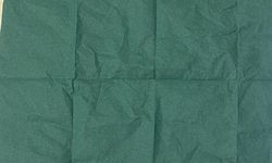 Manisa’da aranan şüpheliden 2 bin 500 içimlik uç bonzai çıktı