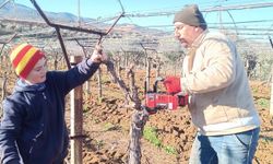 Üzüm üreticisi yenilik peşinde