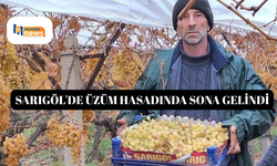 Sarıgöl'de üzüm hasadında sona gelindi