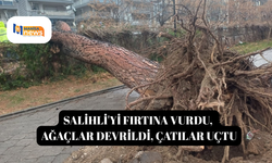 Salihli'yi fırtına vurdu, ağaçlar devrildi, çatılar uçtu