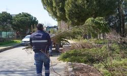 Yunusemre'den parklara bahar temizliği