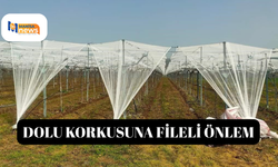 Dolu korkusuna fileli önlem