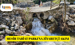 Mesir Tabiat Parkı'na ziyaretçi akını