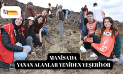 Manisa'da yanan alanlar yeniden yeşeriyor
