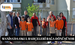 Manisa'da okul bahçeleri bağa dönüşüyor