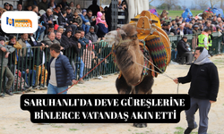Saruhanlı’da deve güreşlerine binlerce vatandaş akın etti