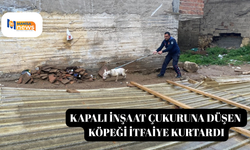 Kapalı inşaat çukuruna düşen köpeği itfaiye kurtardı